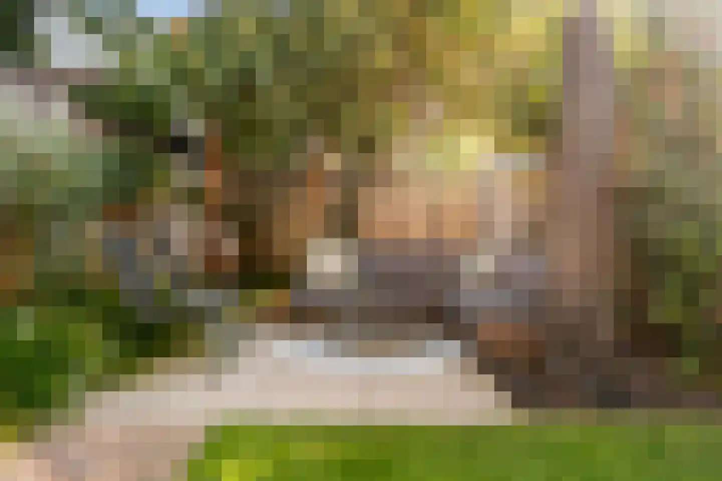 Kampakker 20 Breda thumbnail 17
