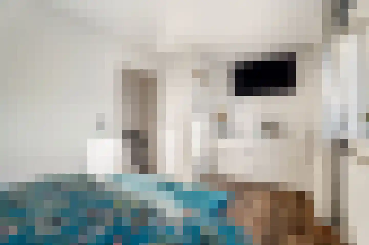 Kampakker 20 Breda thumbnail 22