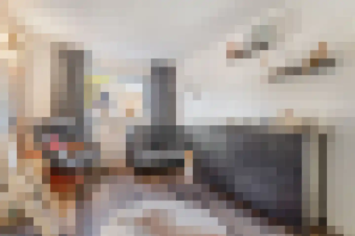 Kampakker 20 Breda thumbnail 23