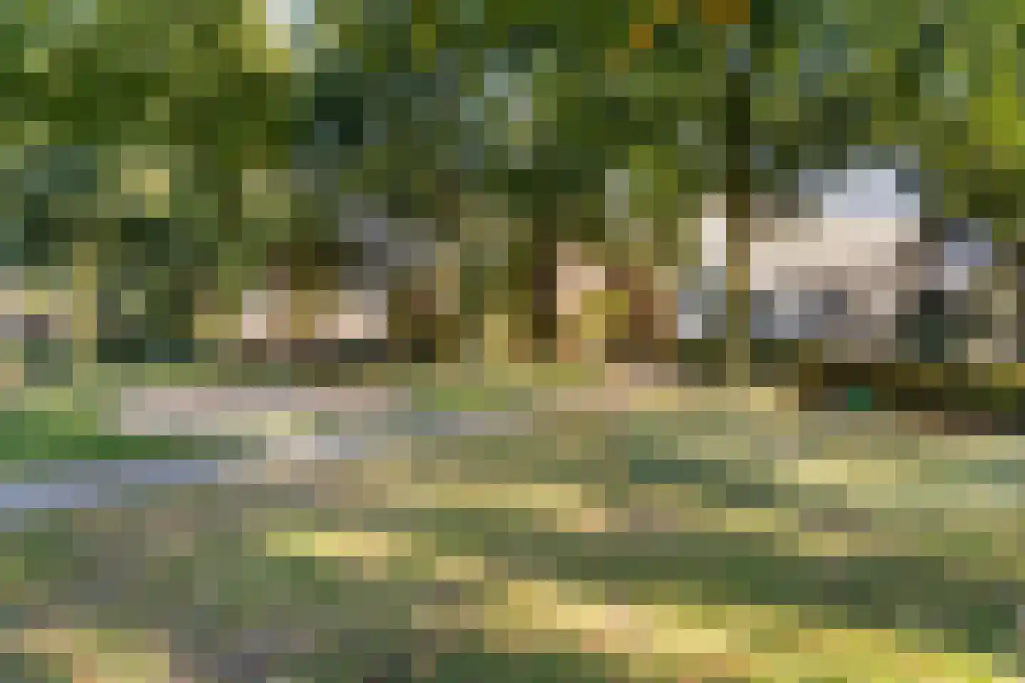 Kampakker 20 Breda thumbnail 33