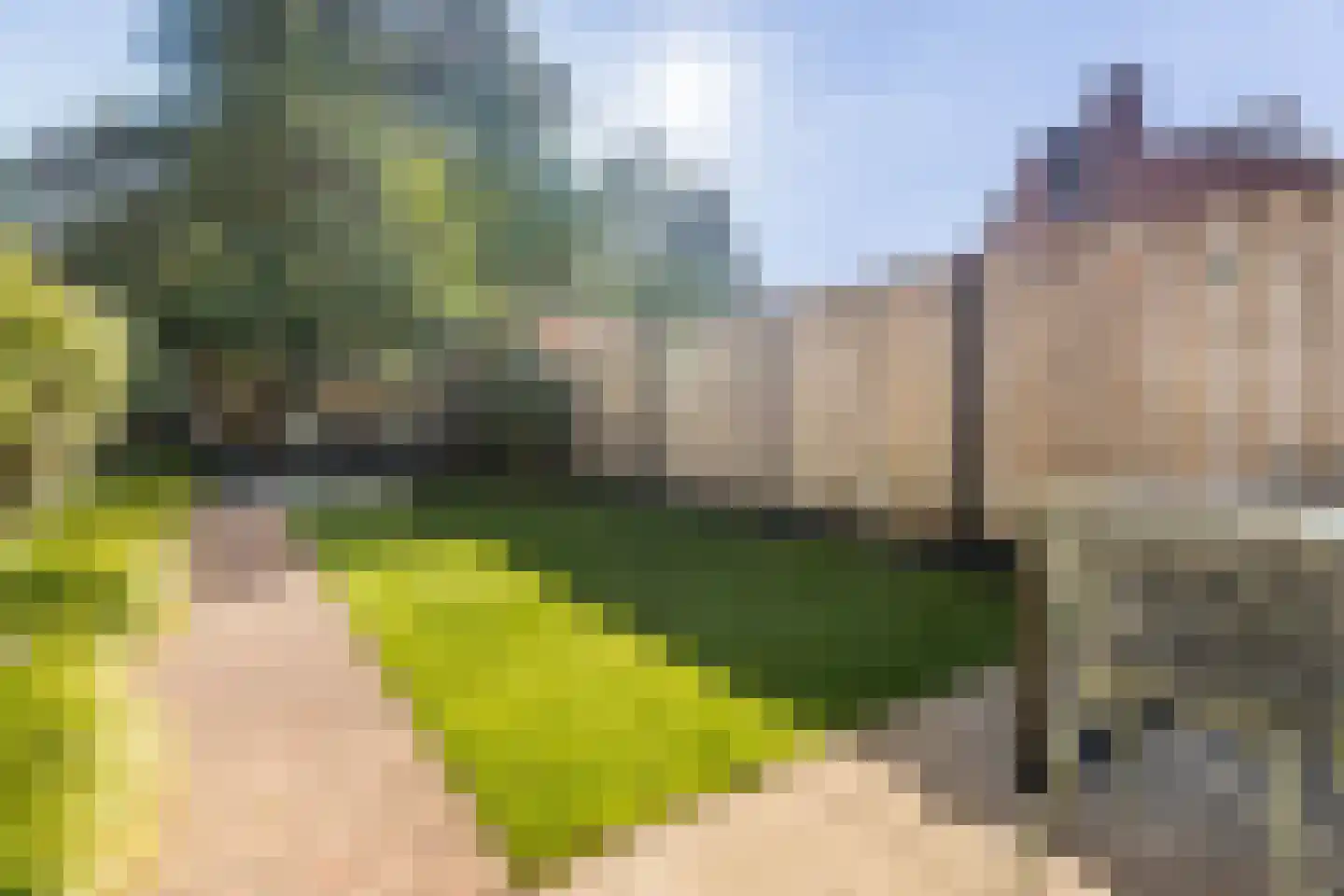 Kampakker 20 Breda thumbnail 4