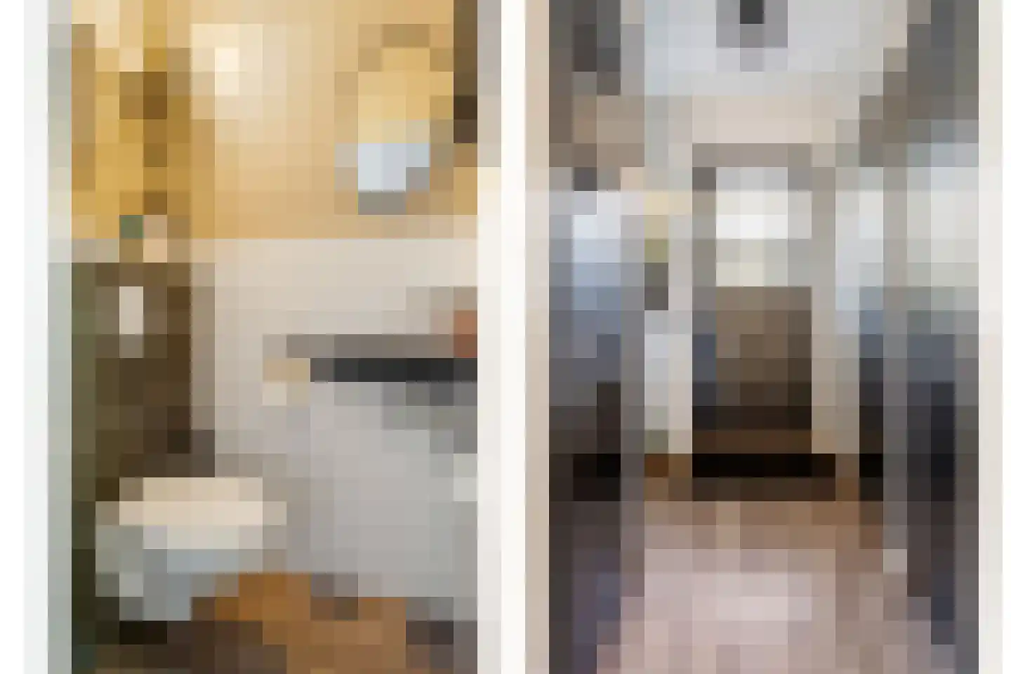 Kampakker 20 Breda thumbnail 7