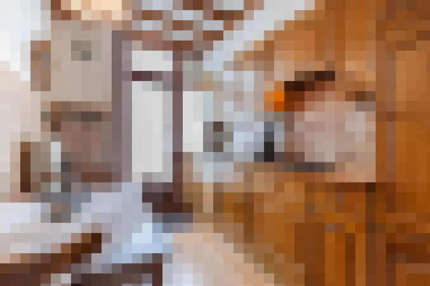 Kampakker 6 Zevenbergen thumbnail 12