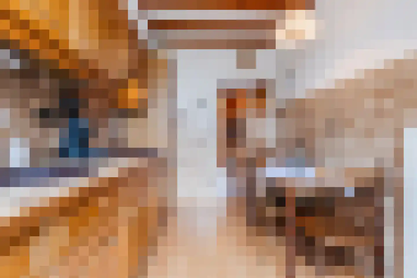 Kampakker 6 Zevenbergen thumbnail 13