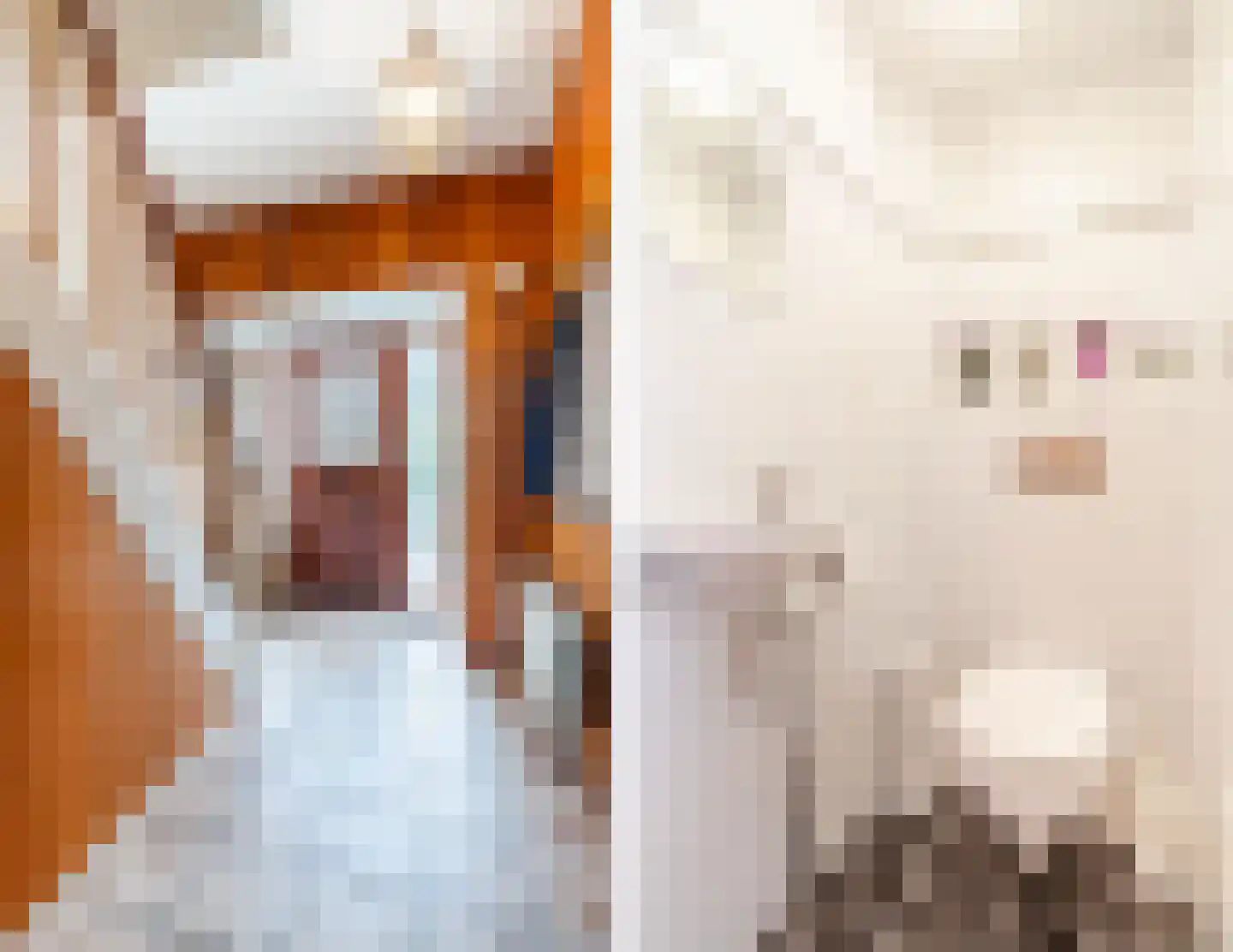 Kampakker 6 Zevenbergen thumbnail 7
