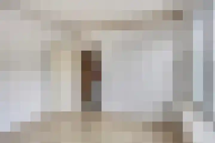 Kampakker 8 Eindhoven thumbnail 16
