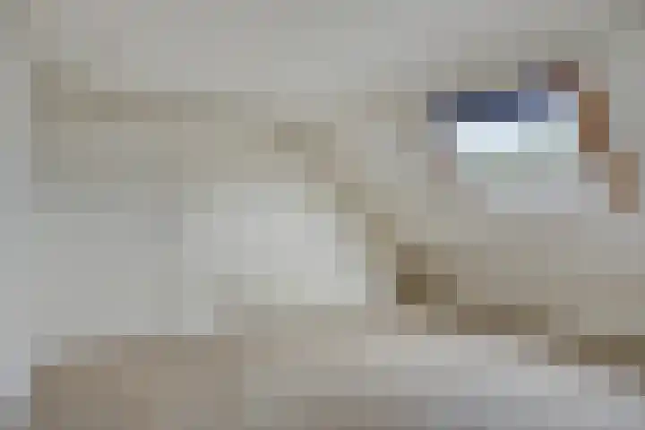 Kampakker 8 Eindhoven thumbnail 28