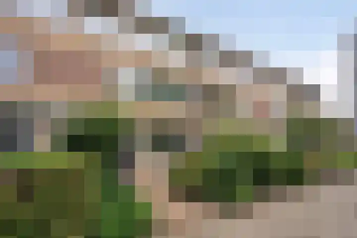 Kampakker 8 Eindhoven thumbnail 8
