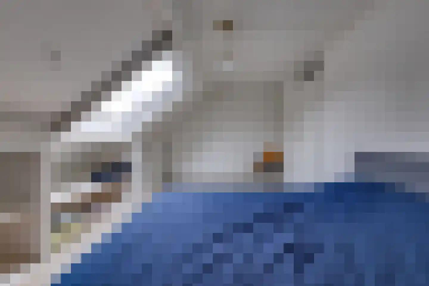 Kampakkers 18 Borger thumbnail 14