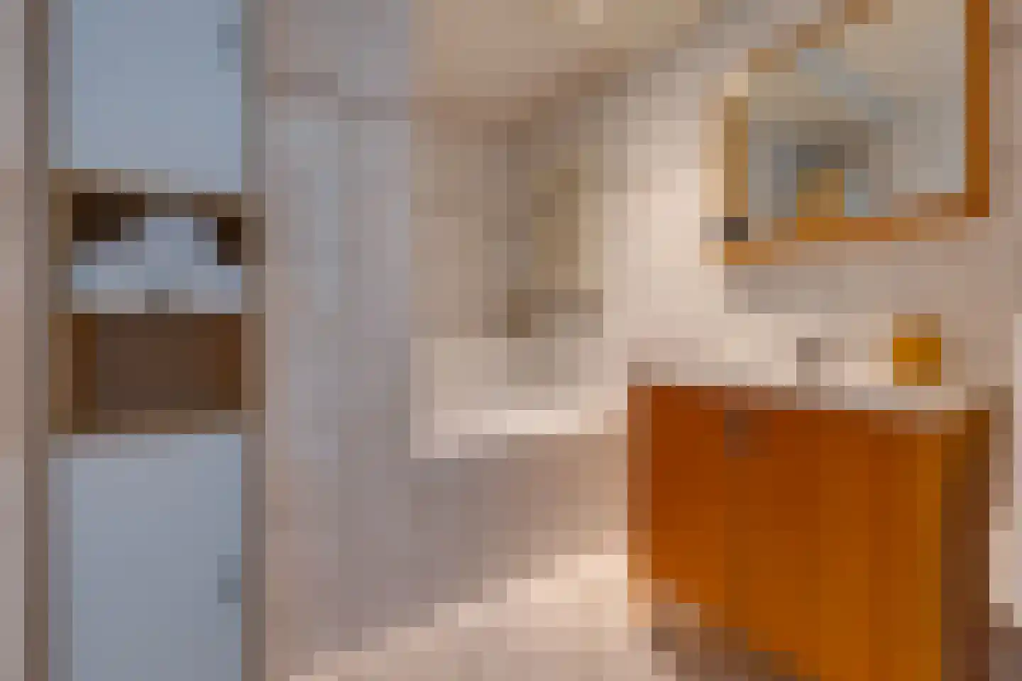 Kampakkers 18 Borger thumbnail 16