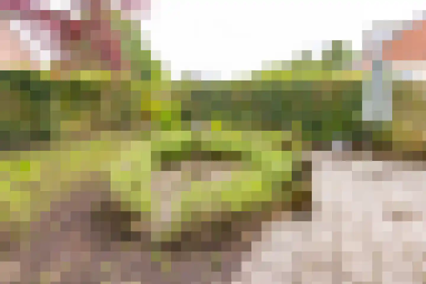 Kampakkers 18 Borger thumbnail 23
