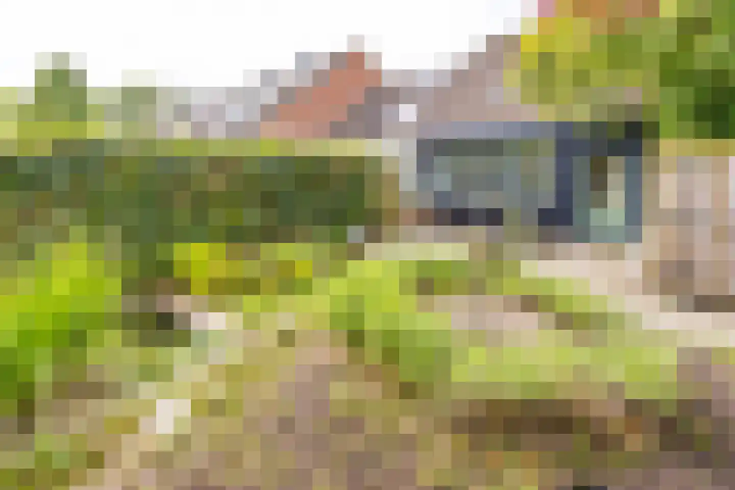 Kampakkers 18 Borger thumbnail 24