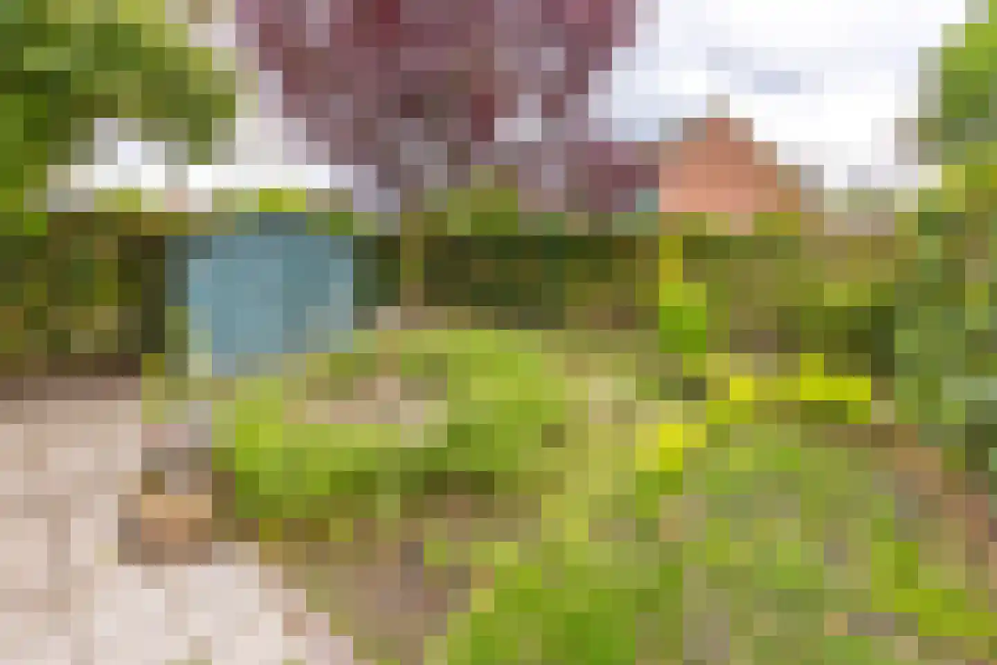 Kampakkers 18 Borger thumbnail 26