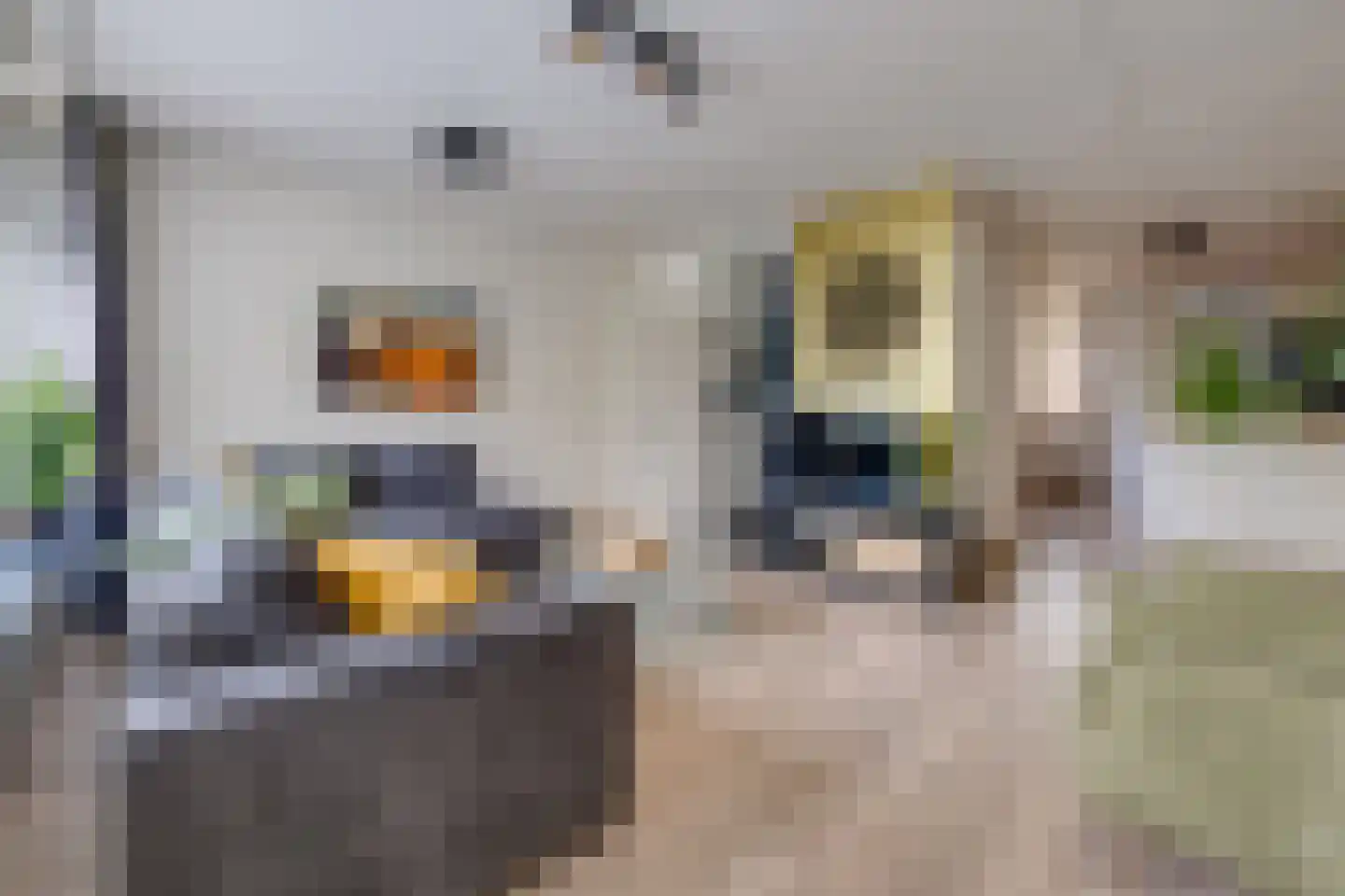 Kampakkers 18 Borger thumbnail 5