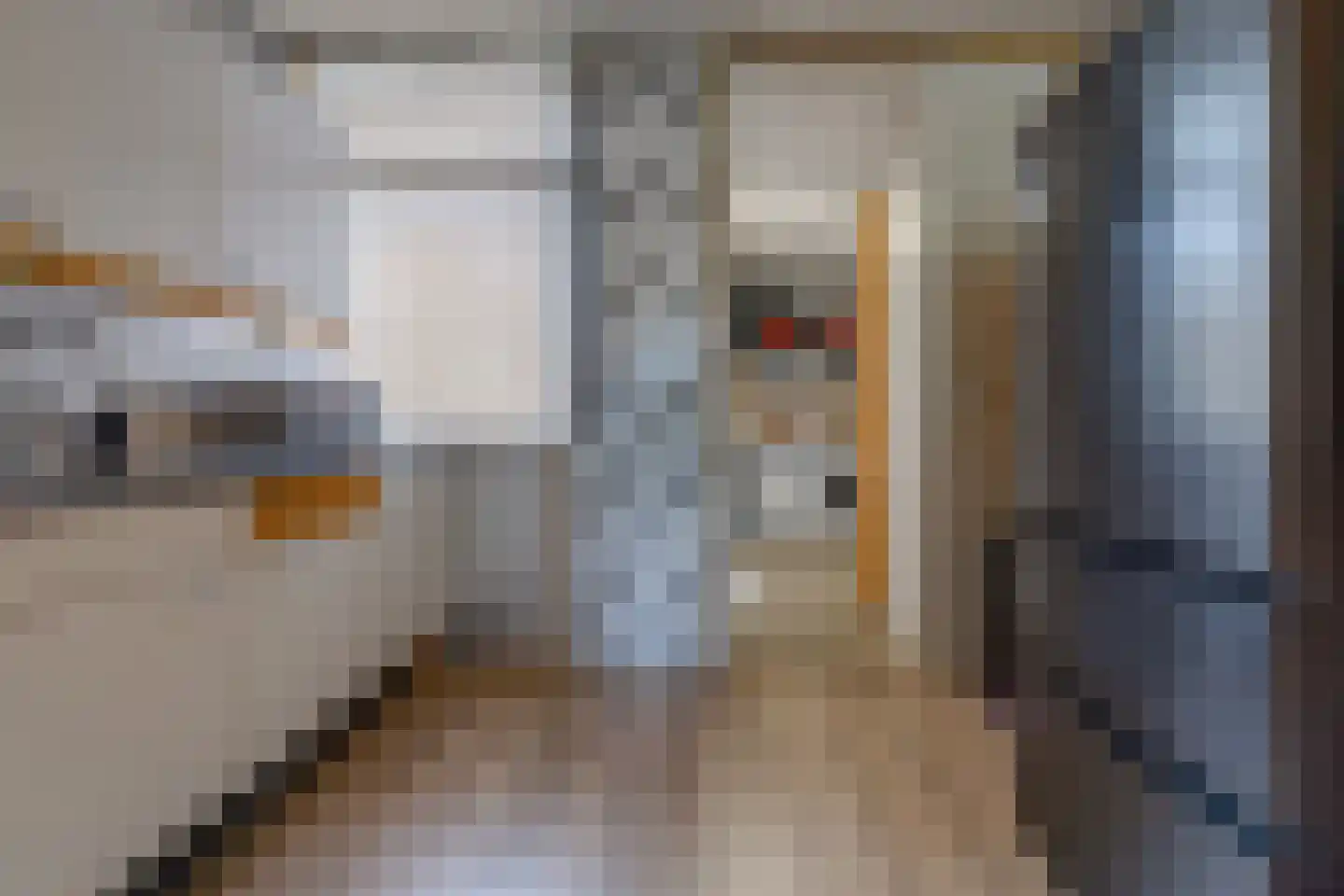 Kampakkers 18 Borger thumbnail 8