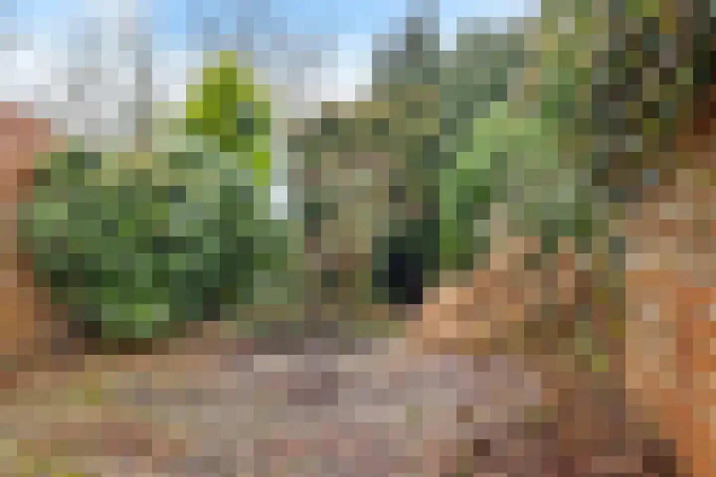 Kampakkers 9 Borger thumbnail 18