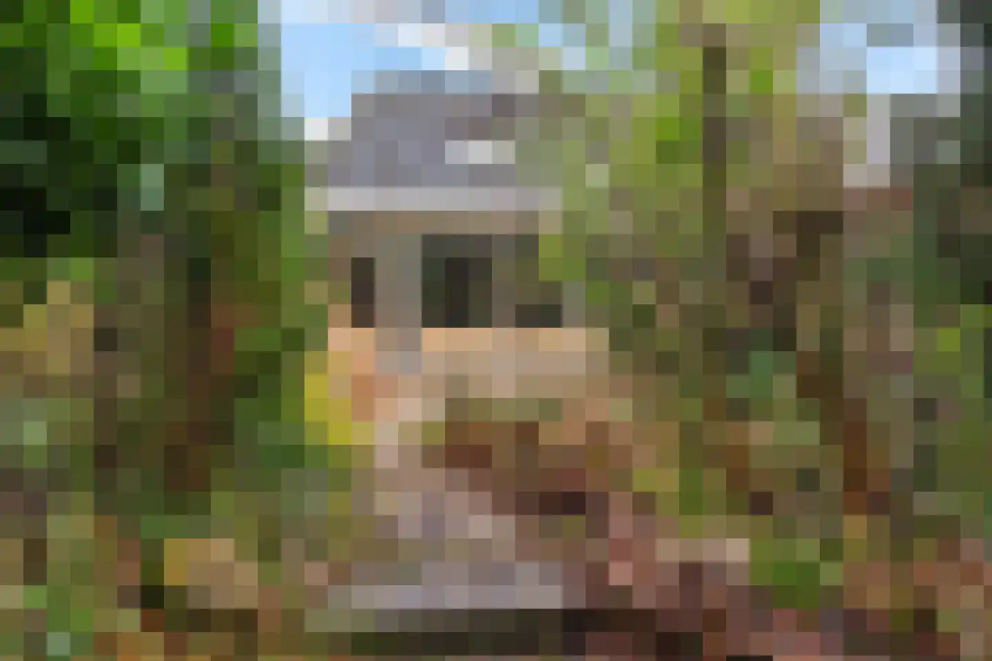 Kampakkers 9 Borger thumbnail 19