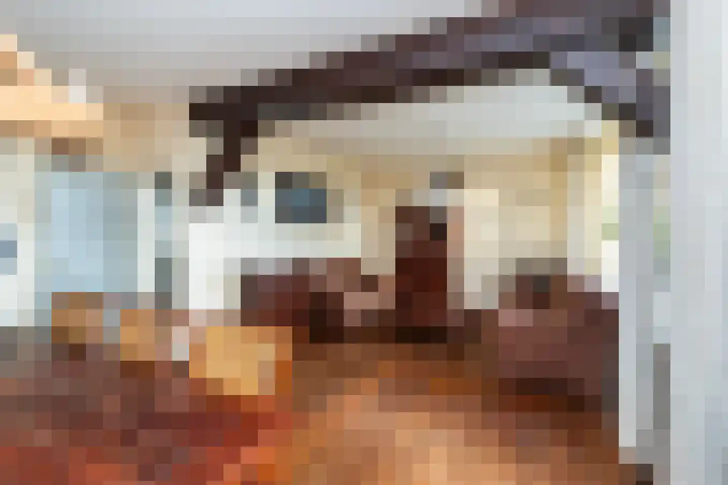 Kampanje 17 Dronten thumbnail 10