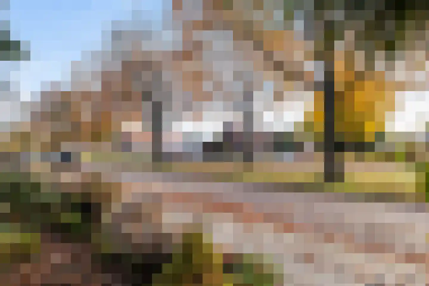 Kampanje 17 Dronten foto 2