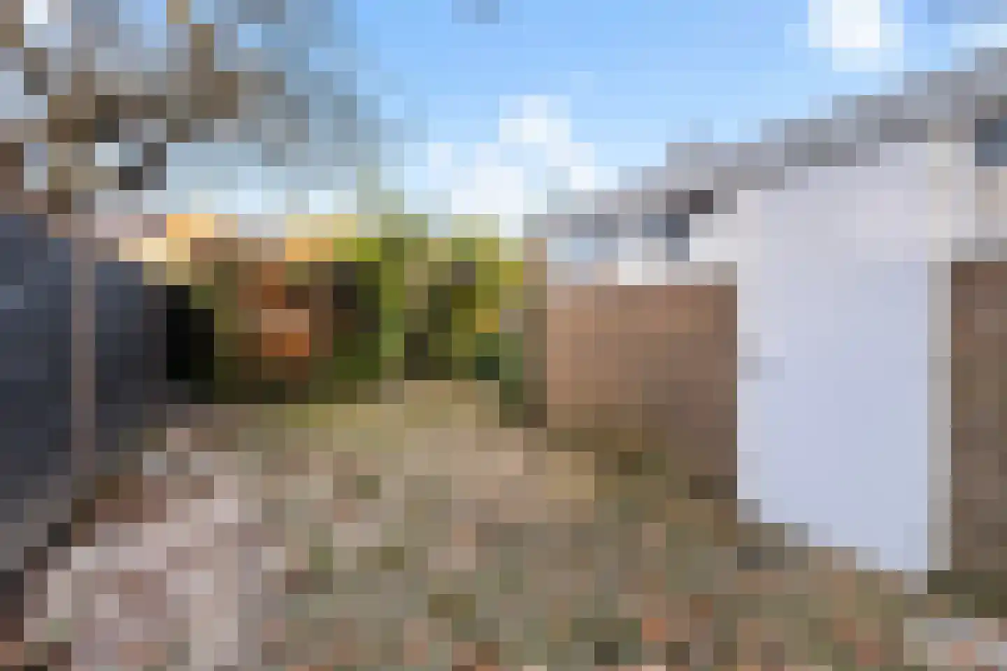 Kampanje 17 Dronten thumbnail 21