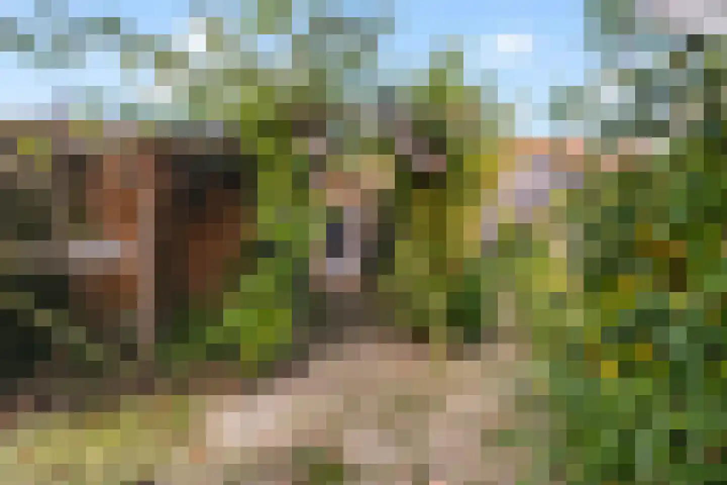 Kampanje 17 Dronten thumbnail 23