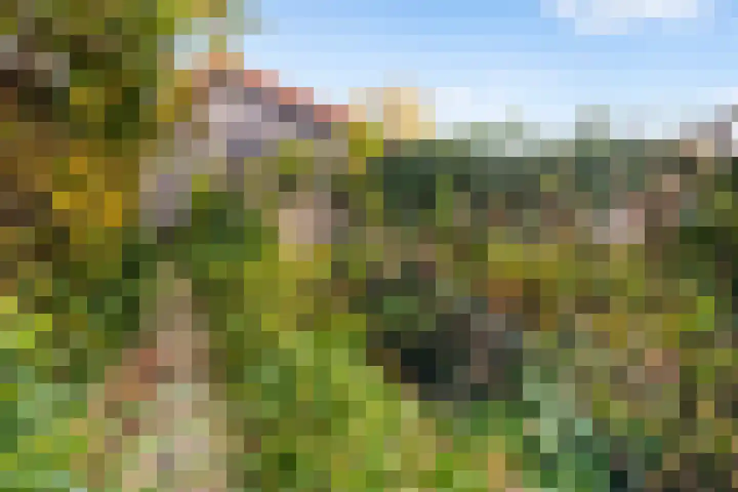Kampanje 17 Dronten thumbnail 24