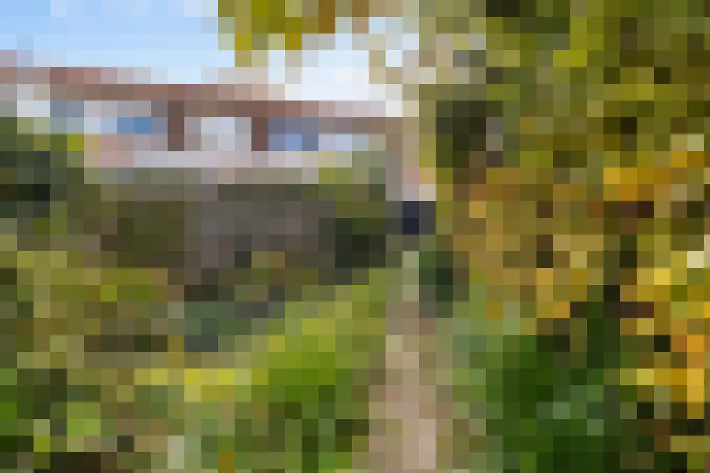 Kampanje 17 Dronten thumbnail 25