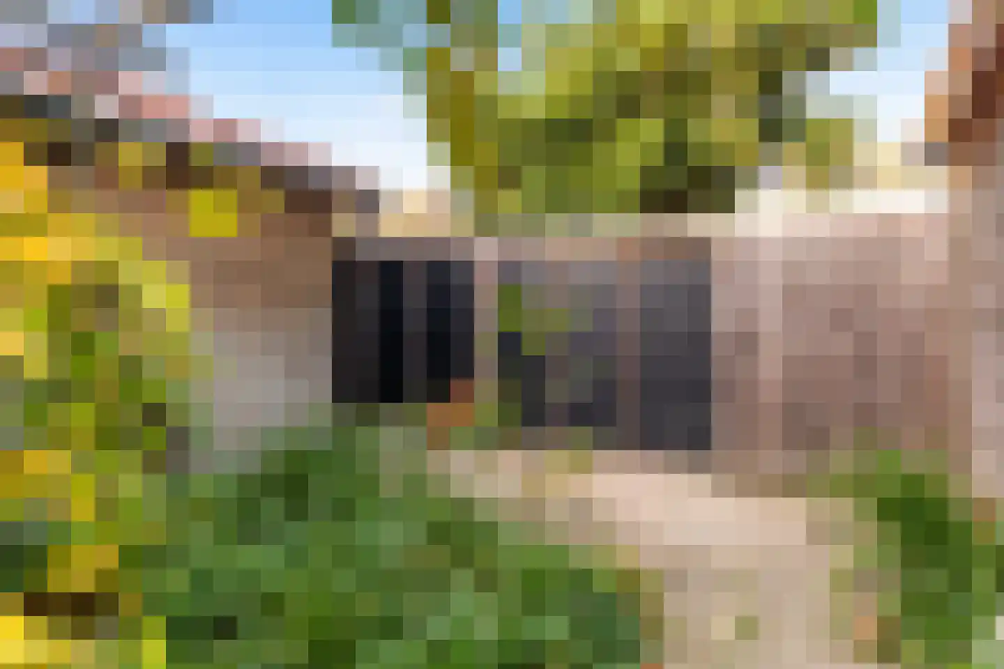 Kampanje 17 Dronten thumbnail 26