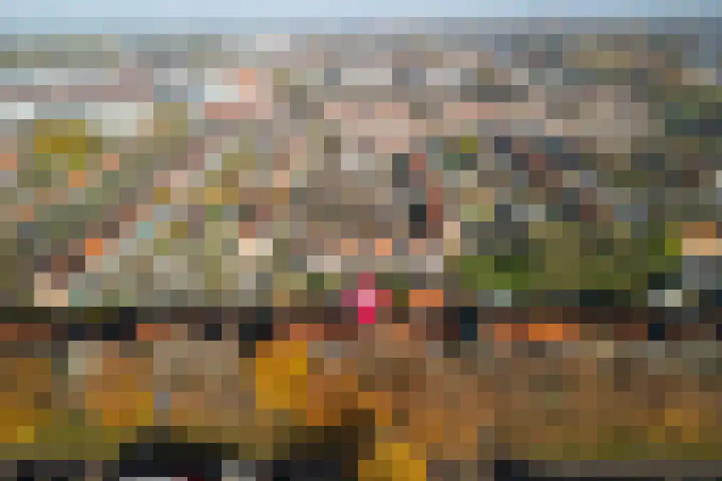 Kampanje 17 Dronten thumbnail 27