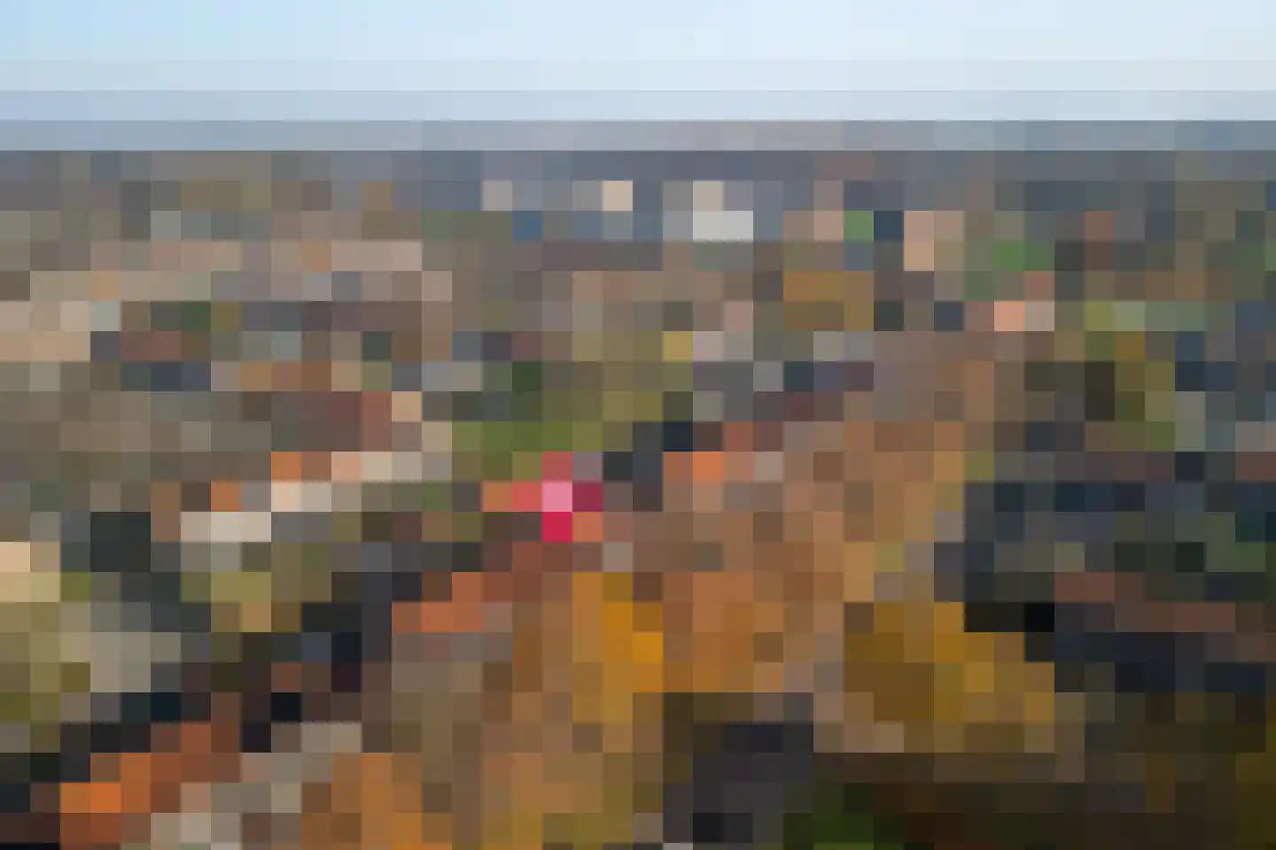 Kampanje 17 Dronten thumbnail 28