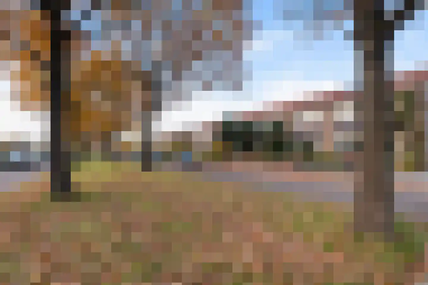 Kampanje 17 Dronten thumbnail 7