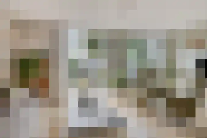Kampanje 25 Rozenburg thumbnail 10