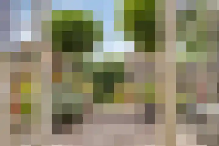 Kampanje 25 Rozenburg thumbnail 11