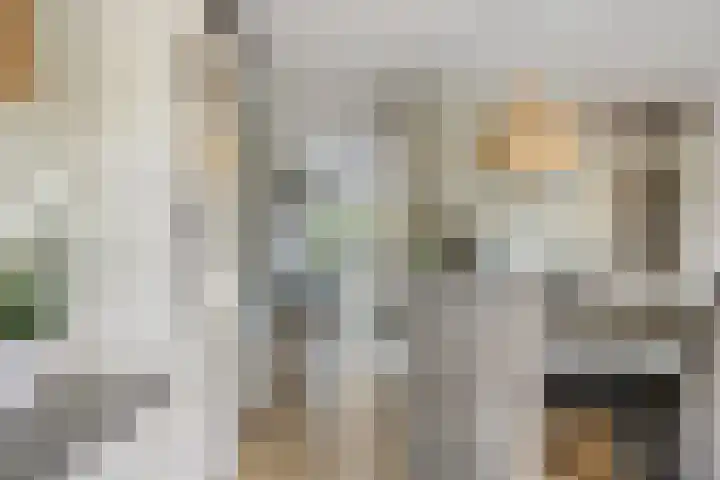 Kampanje 25 Rozenburg thumbnail 14