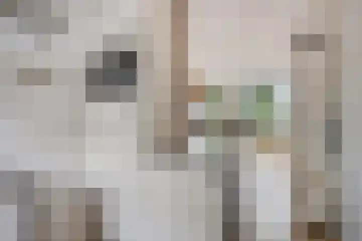 Kampanje 25 Rozenburg thumbnail 16