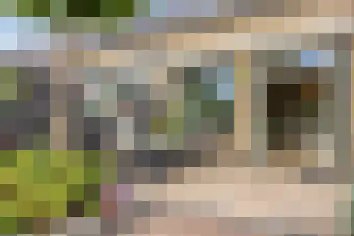 Kampanje 25 Rozenburg thumbnail 26