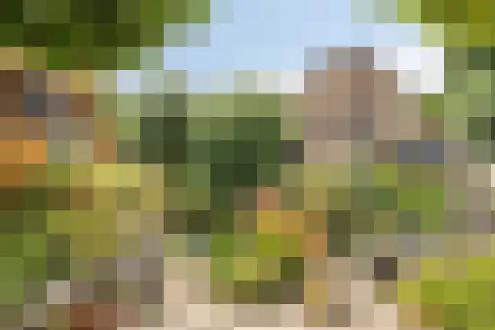 Kampanje 25 Rozenburg thumbnail 27