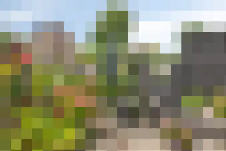 Kampanje 25 Rozenburg thumbnail 28
