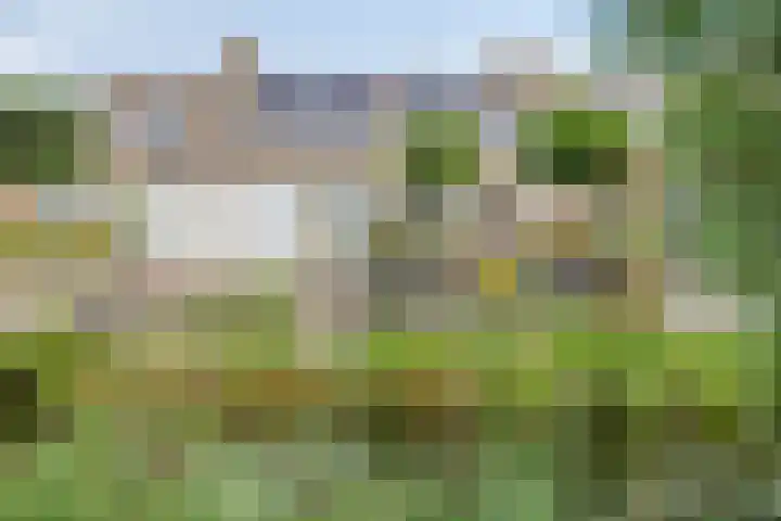 Kampanje 25 Rozenburg thumbnail 30
