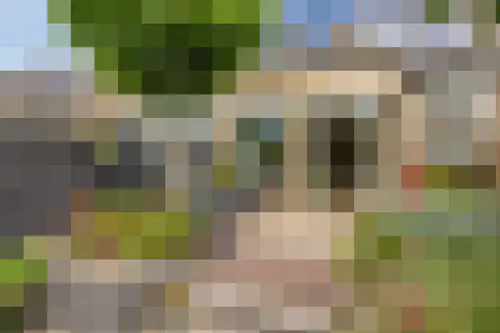 Kampanje 25 Rozenburg thumbnail 4