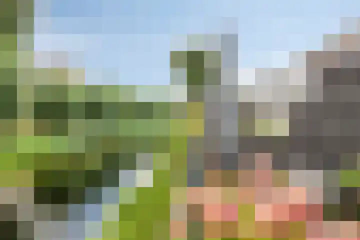 Kampanje 25 Rozenburg thumbnail 5