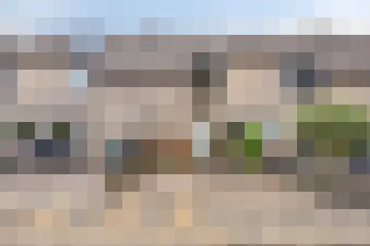 Kampanje 25 Rozenburg thumbnail 6
