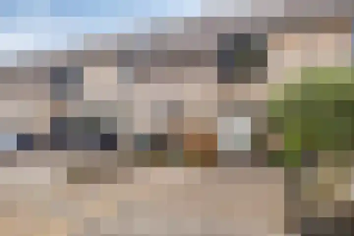 Kampanje 25 Rozenburg thumbnail 7