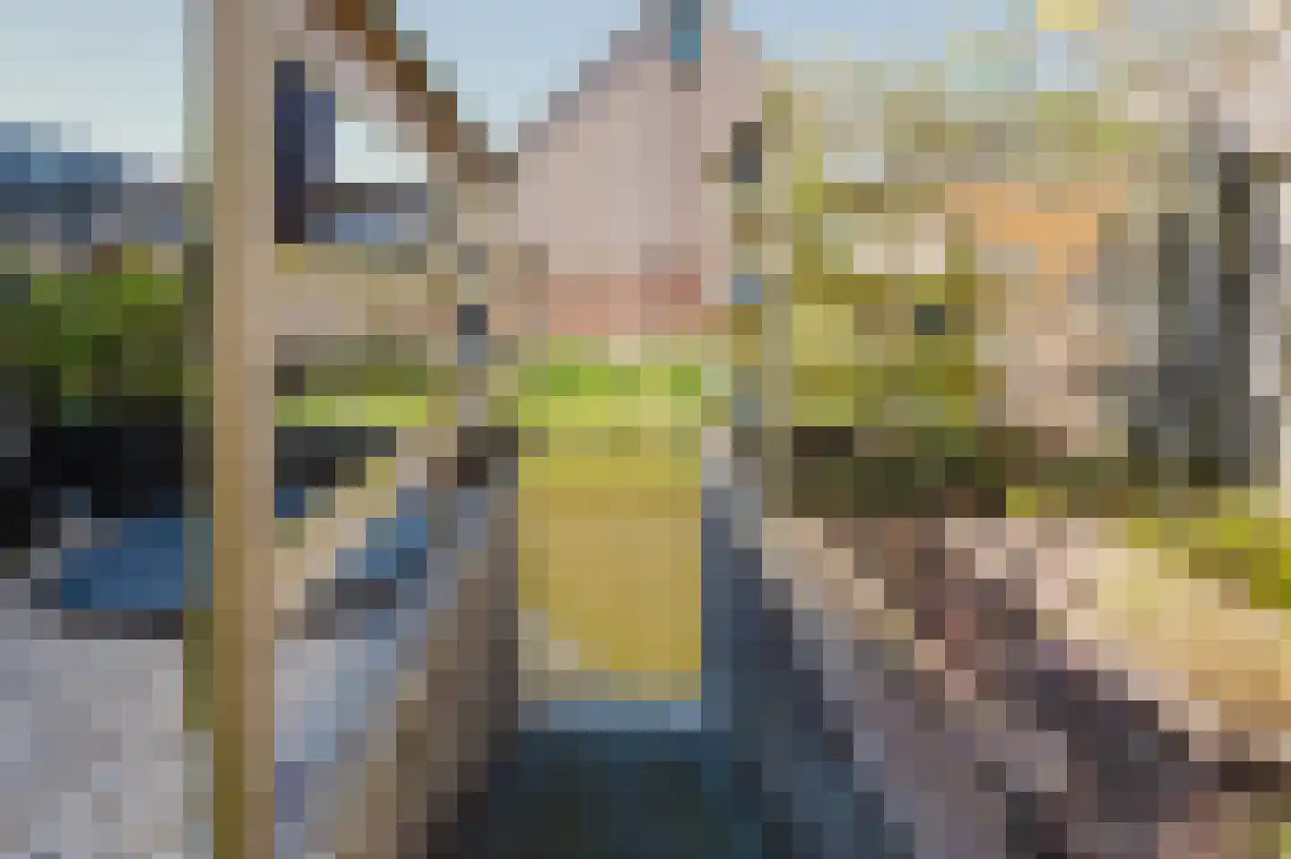 Kampanje 33 Rozenburg thumbnail 16
