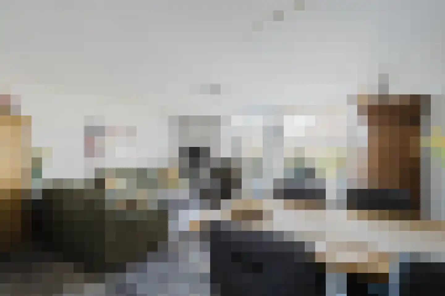 Kampanje 33 Rozenburg foto 2