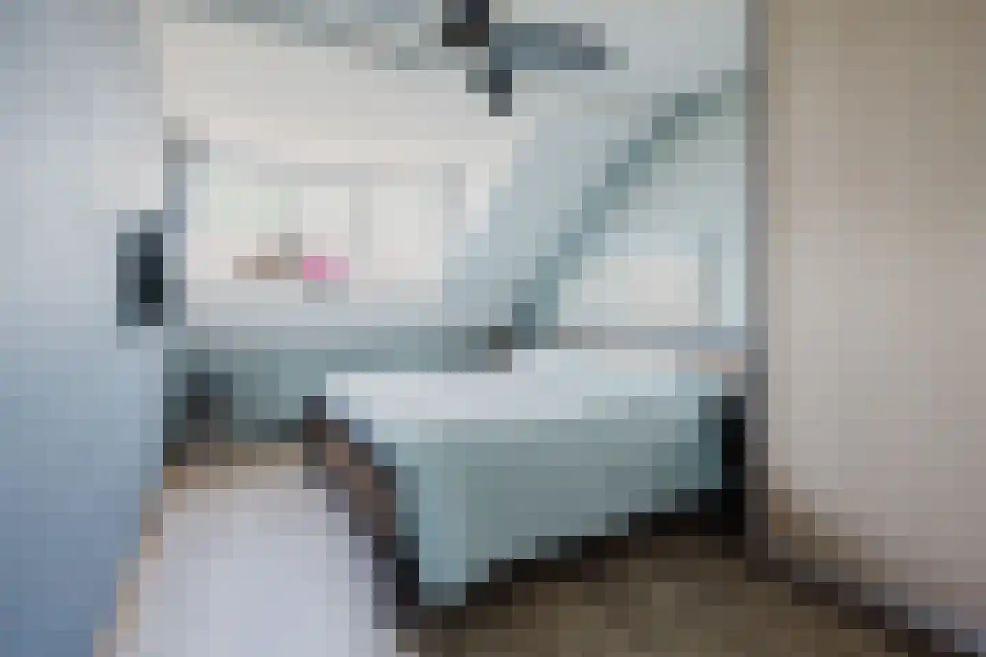 Kampanje 33 Rozenburg thumbnail 23