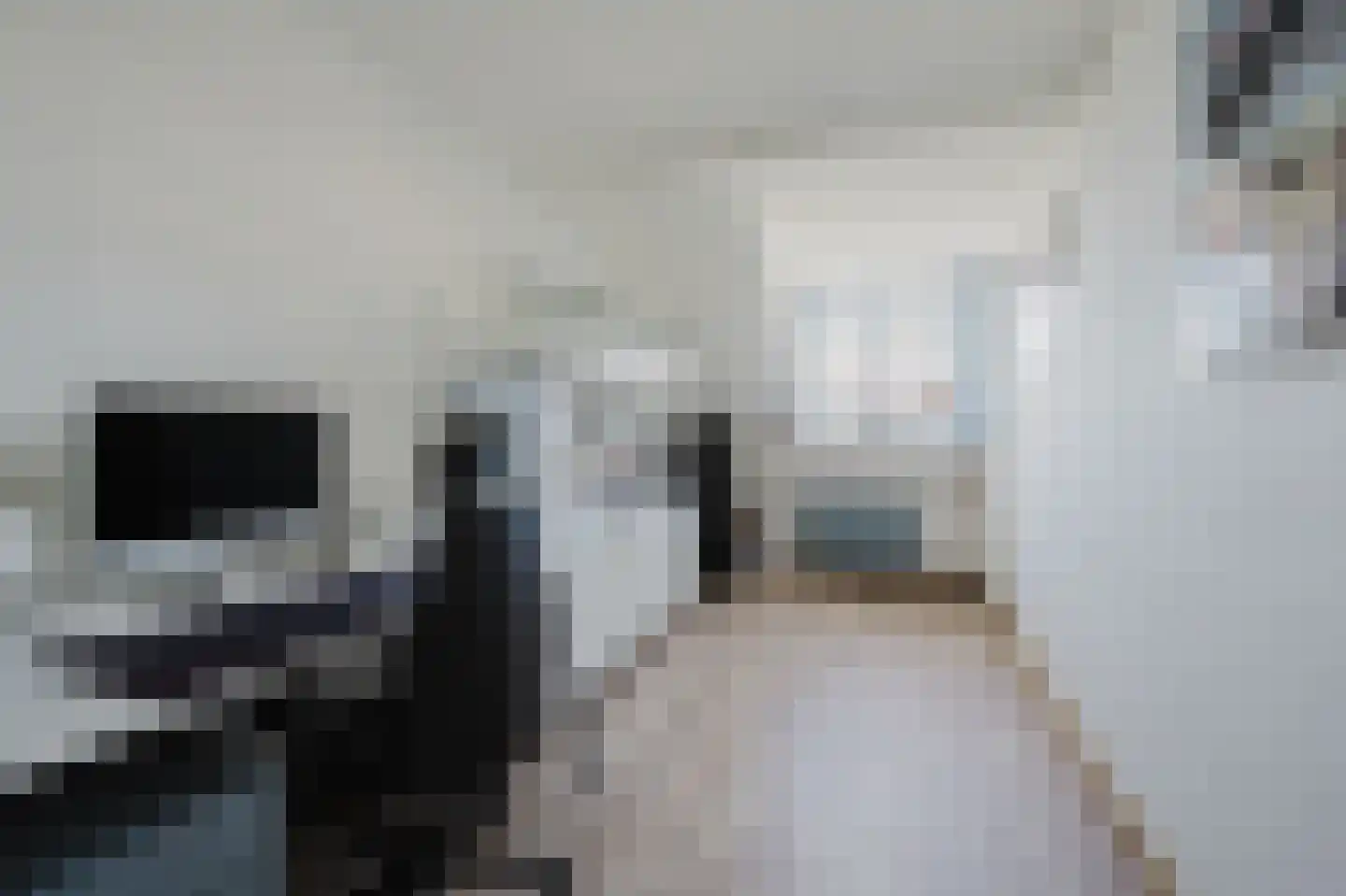 Kampanje 33 Rozenburg thumbnail 24