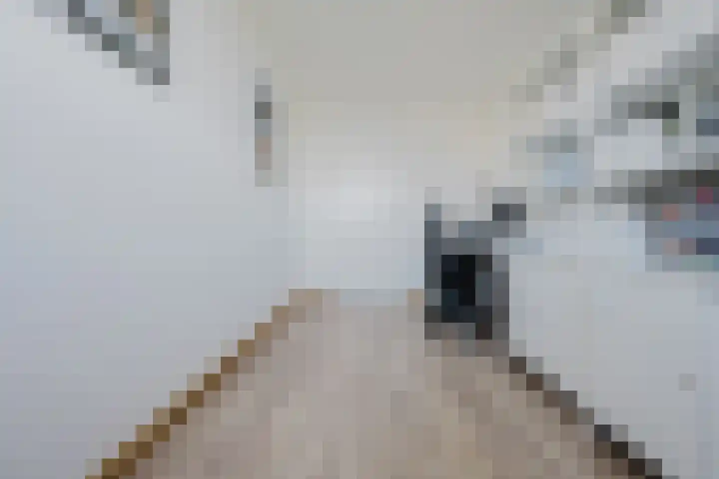 Kampanje 33 Rozenburg thumbnail 25