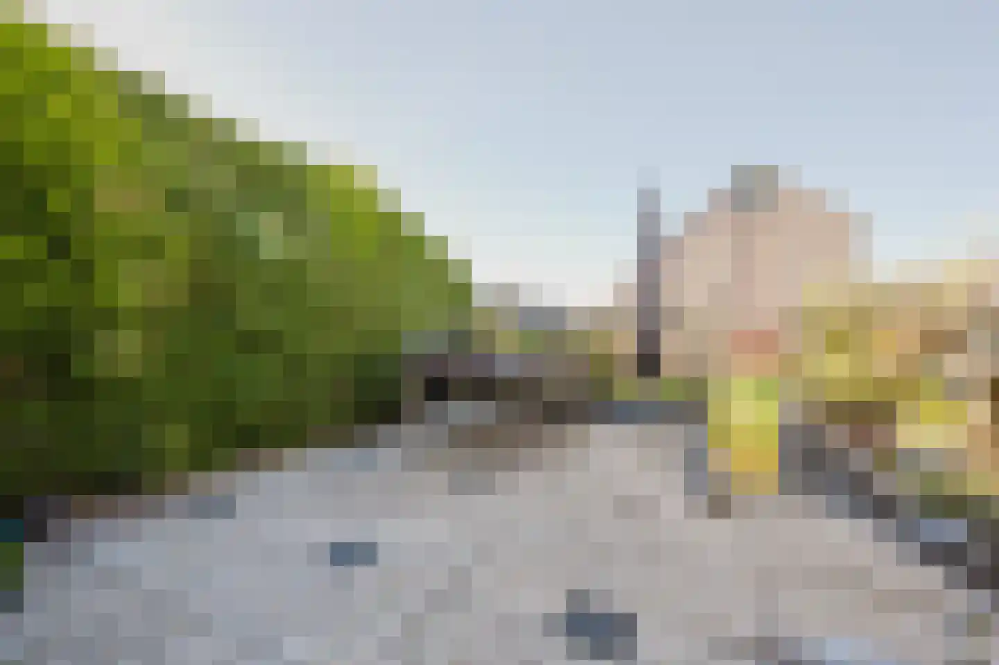Kampanje 33 Rozenburg thumbnail 4