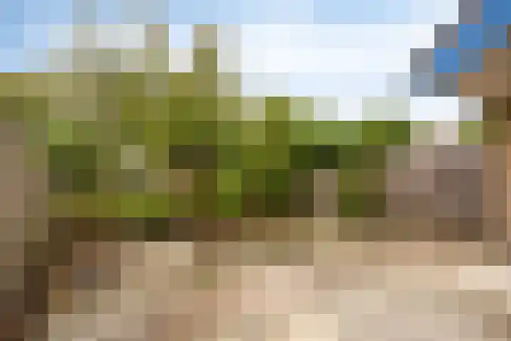 Kampanje 39 Rozenburg thumbnail 26